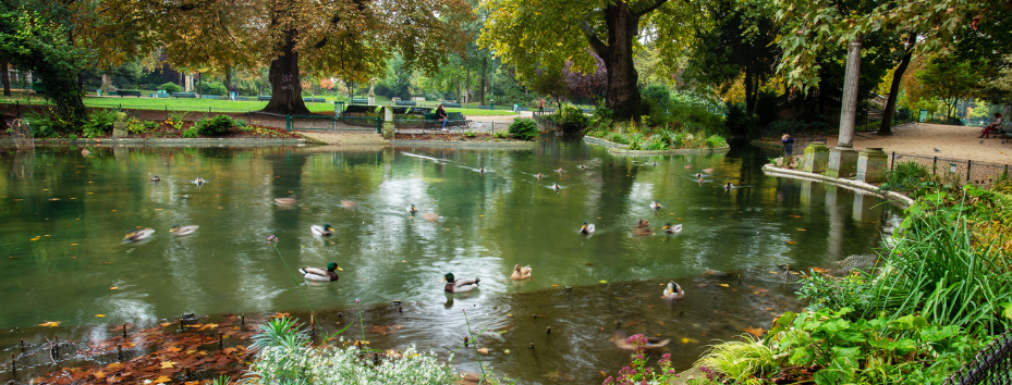 Park showing birds, water, trees, flowers