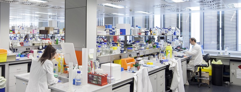 A lab setting with two researcher at benches