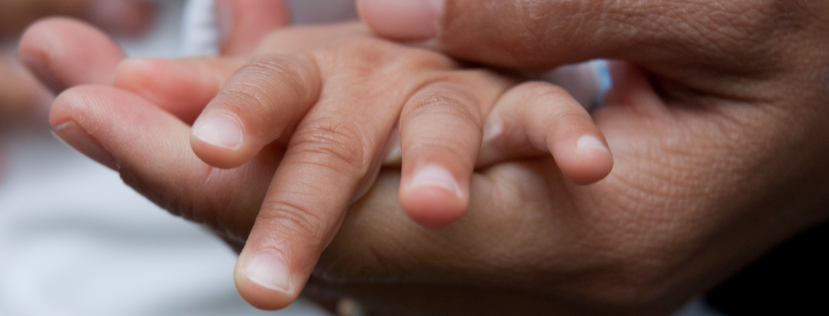 baby in adult's hand