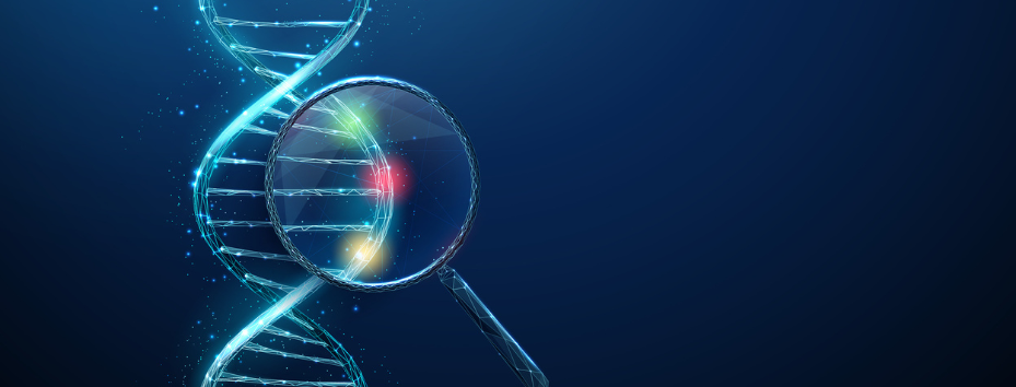 DNA strand under magnifying glass with red, yellow, green spots inside. Genetic variations, analysis, pharmacogenomics, biomarker identification, DNA sequencing concept stock illustration