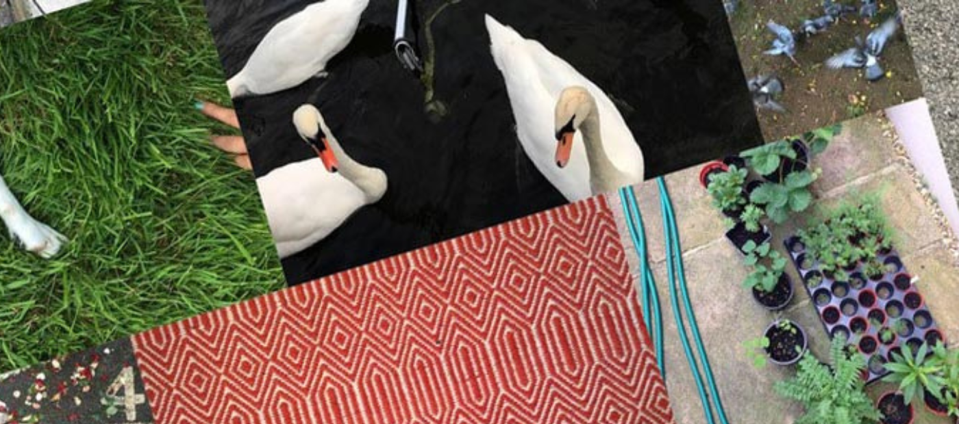 Exposure to nature in cities beneficial for mental wellbeing