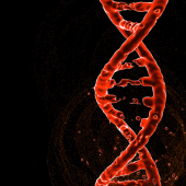 A broken red strand of DNA against a black background