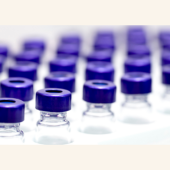 Rows of clear glass vials with purple caps are lined up in a lab setting.