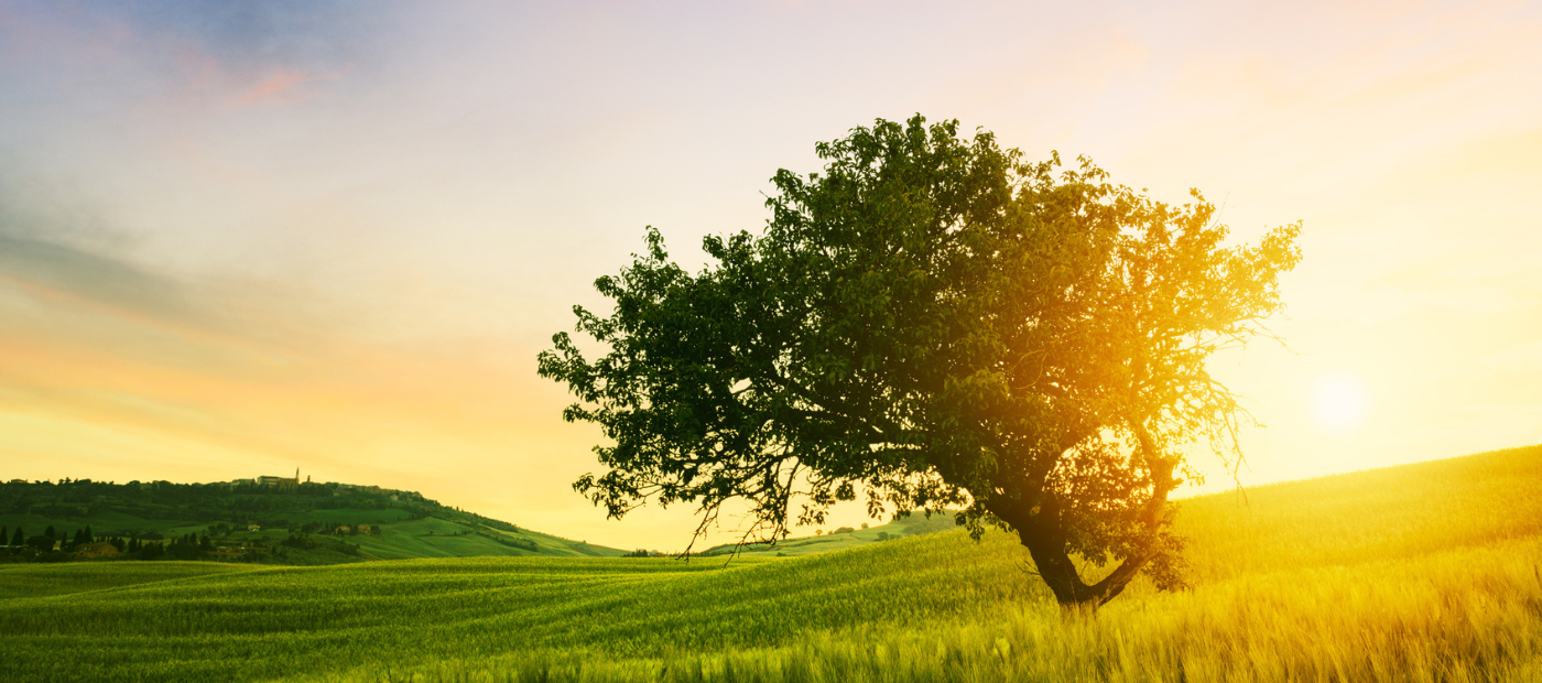 Relatives' experiences of violence from people living with severe mental health conditions: a neglected and poorly understood issue