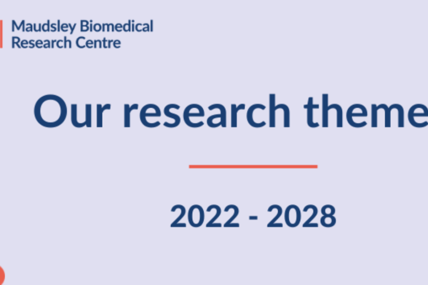 NIHR banner stating 'Our research themes'