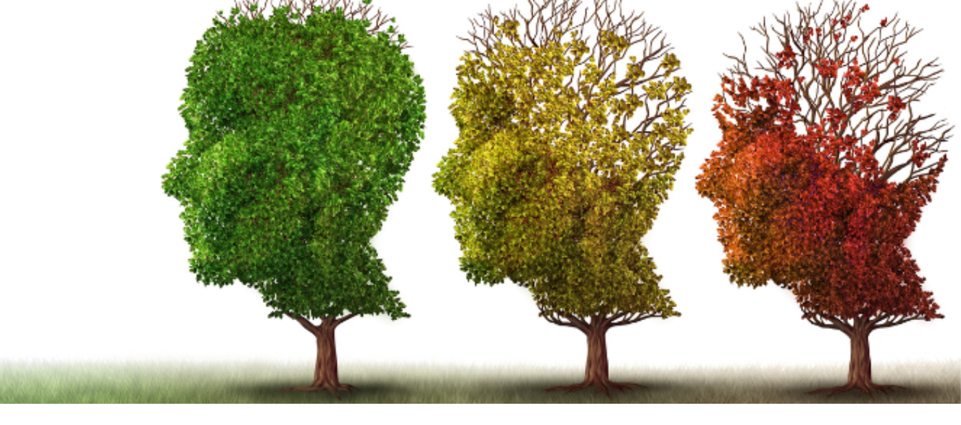 Volume of grey brain matter significantly lower in people with Early Onset Psychosis