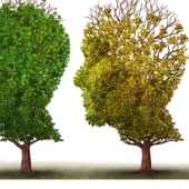 Three trees shaped like human profiles transition from green to yellow and red