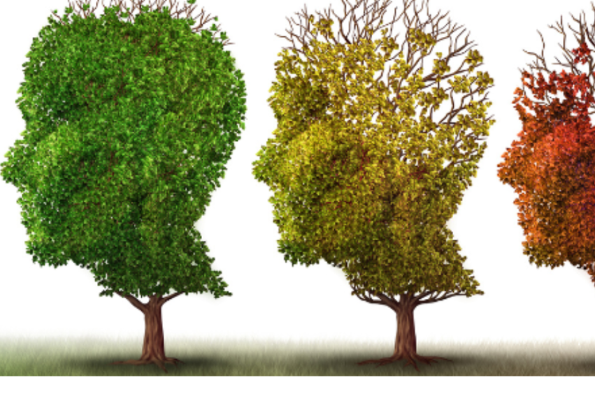 Three trees shaped like human profiles transition from green to yellow and red
