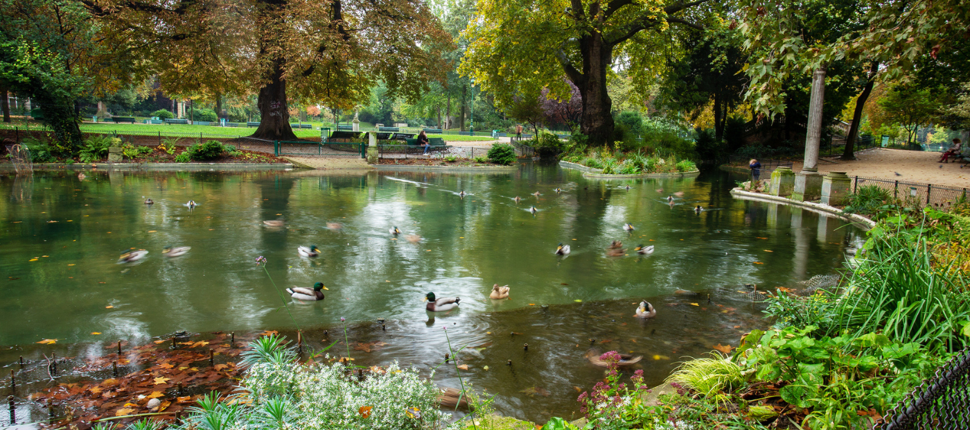 Biodiversity is key to the mental health benefits of nature, new study finds
