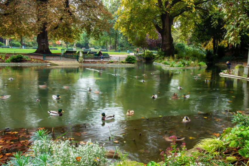 A tranquil park scene with a pond surrounded by greenery and autumn trees