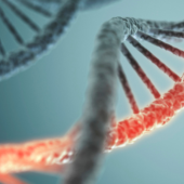 Close-up of DNA strands, with one highlighted in red against a blurred blue background