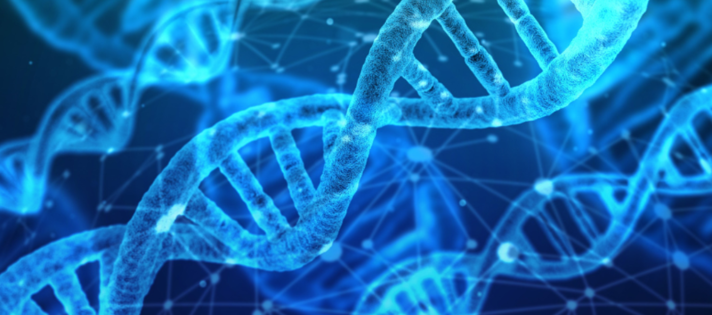 New software to help predict individuals' genetic risk of health ...
