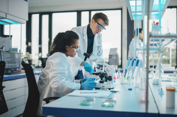 Two scientist analyzing research data while working in laboratory