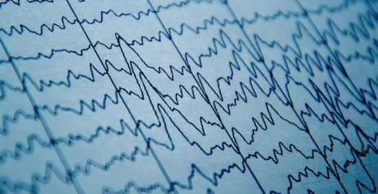 Using computer models to explore networks in the brain