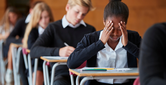 Investigating the link between depression and school performance