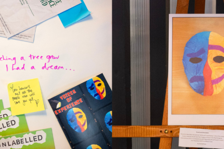 Experts with lived experience address mental health stigma