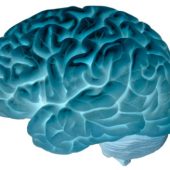 Study gets under way to test psilocybin for treatment-resistant depression