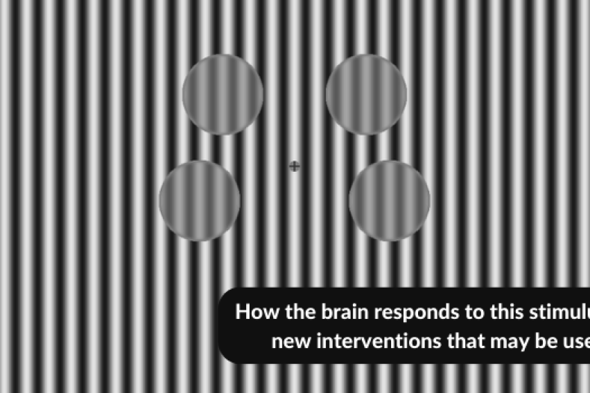 New study demonstrates link between brain chemical and visual processing in autism