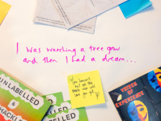 voices of experience PPIE peckham levels