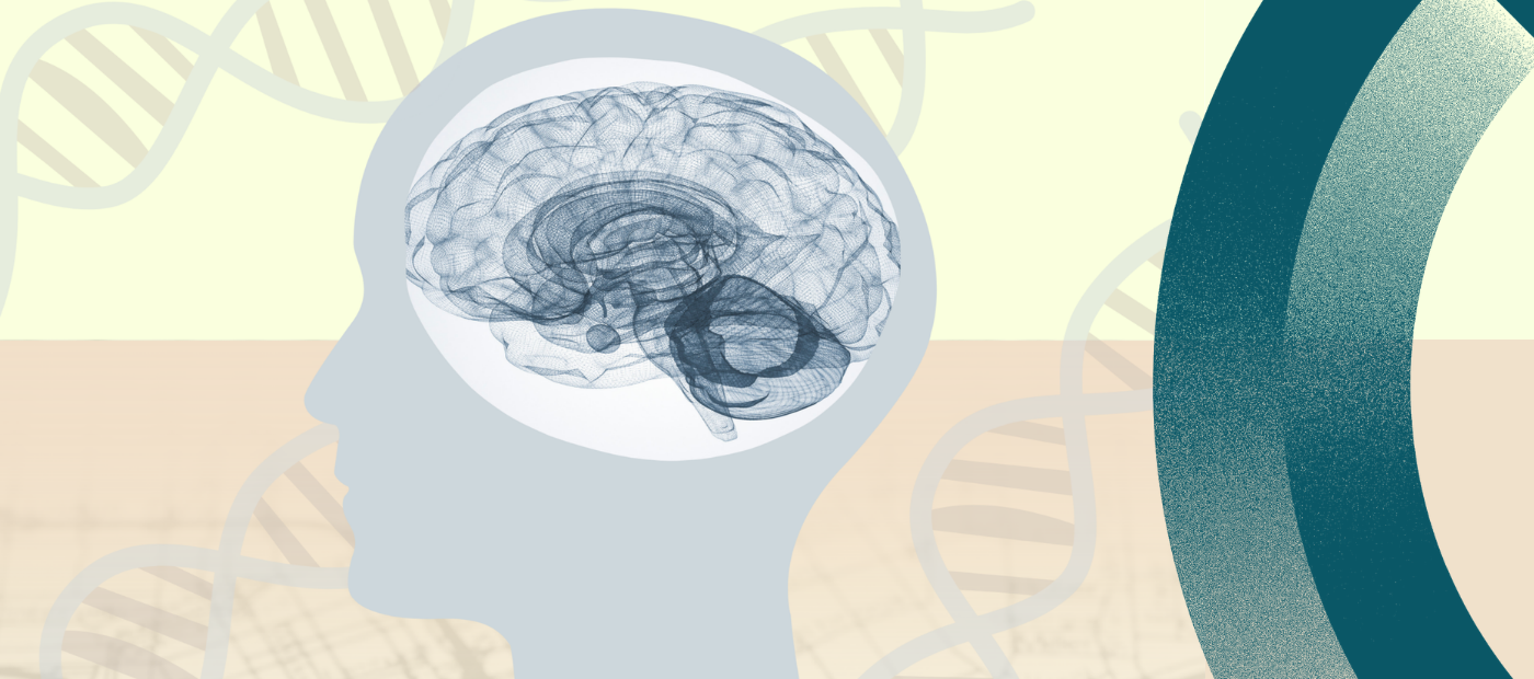 Brain histamine map connects genes to brain function and mental health