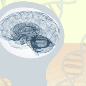 image of brain and DNA strands