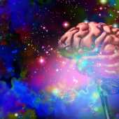 Visual of brain science, multicoloured