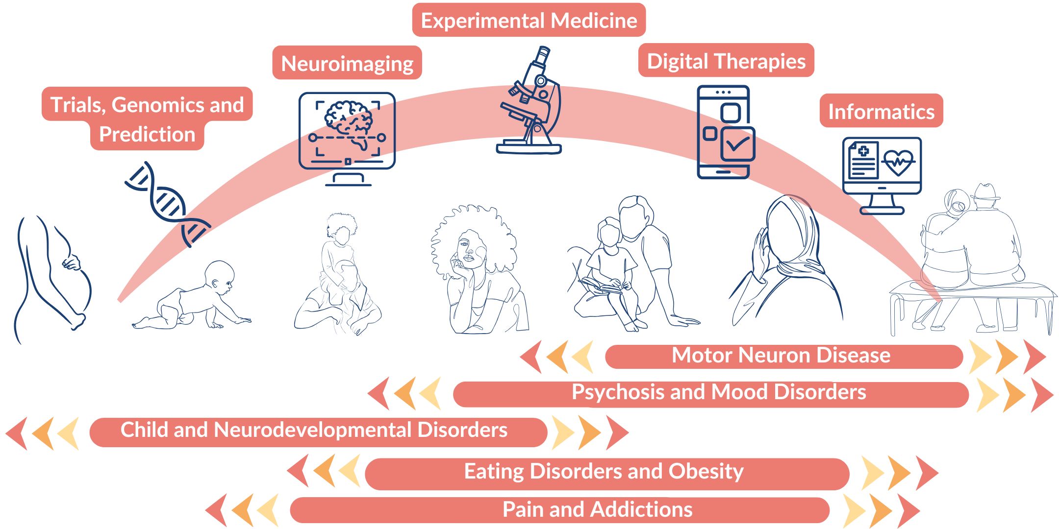 research themes across the lifespan