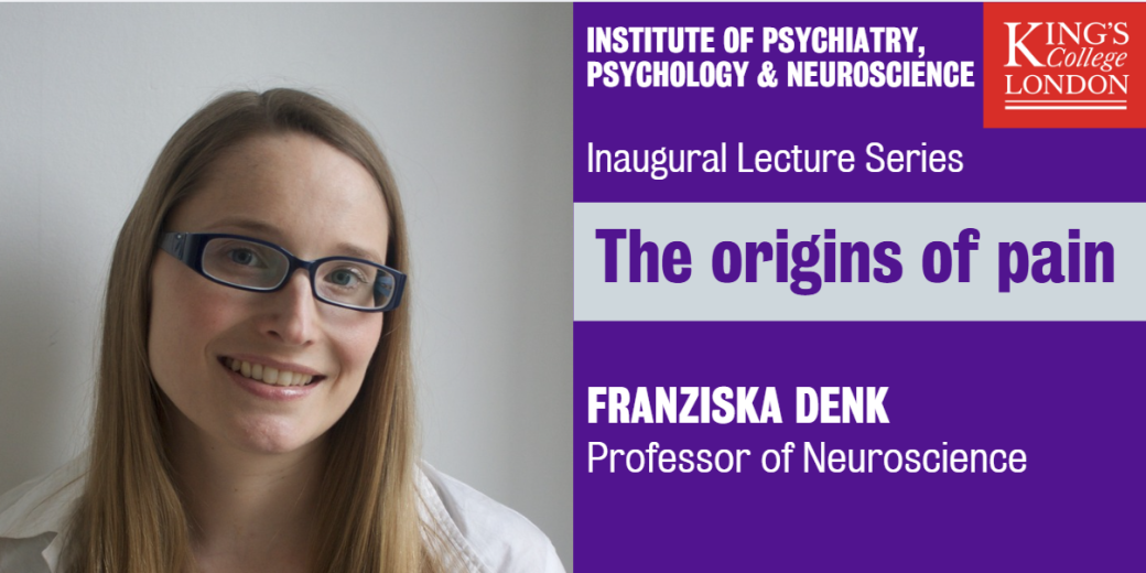 Professor Franziska Denk - Inaugural Lecture